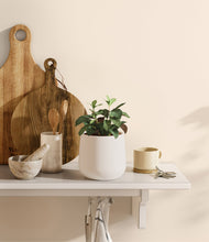 Load image into Gallery viewer, White
