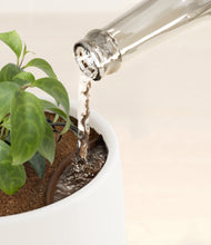 Load image into Gallery viewer, White stand:all
