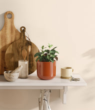 Load image into Gallery viewer, Glossy Red
