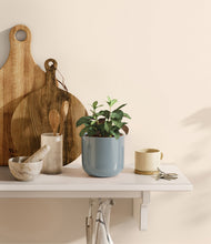 Load image into Gallery viewer, Misty Blue
