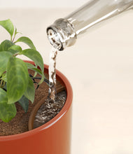 Load image into Gallery viewer, Glossy Red stand:all
