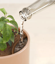 Load image into Gallery viewer, Glossy Pink stand:all
