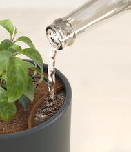 Load image into Gallery viewer, Iron Gray stand:all
