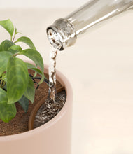 Load image into Gallery viewer, Sandy Pink stand:all
