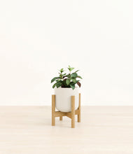 Load image into Gallery viewer, Cotton White stand:bamboo
