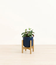Load image into Gallery viewer, Twilight Blue stand:bamboo
