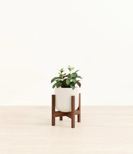 Load image into Gallery viewer, Cotton White stand:walnut
