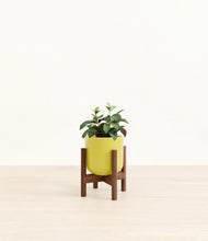 Load image into Gallery viewer, Key Lime Yellow stand:walnut
