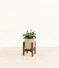 Load image into Gallery viewer, Sage Green stand:walnut
