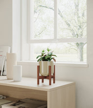 Load image into Gallery viewer, Sage Green stand:walnut
