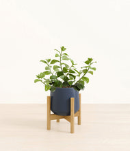 Load image into Gallery viewer, Deep Navy stand:bamboo
