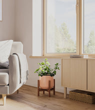 Load image into Gallery viewer, Calm Rose stand:walnut
