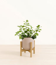 Load image into Gallery viewer, Eternal Gray stand:bamboo
