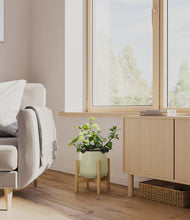 Load image into Gallery viewer, Turquoise stand:bamboo
