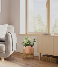 Load image into Gallery viewer, Calm Rose stand:bamboo
