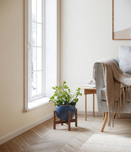 Load image into Gallery viewer, Deep Navy stand:walnut
