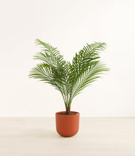 Load image into Gallery viewer, Earth Red*****Profile
