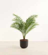 Load image into Gallery viewer, Stone Black*****Profile
