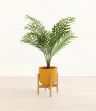 Load image into Gallery viewer, Sunset Orange stand:bamboo
