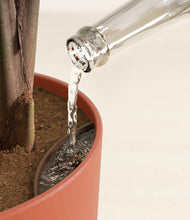 Load image into Gallery viewer, Earth Red stand:all
