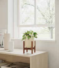 Load image into Gallery viewer, Almond Green stand:walnut
