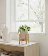 Load image into Gallery viewer, Eternal Gray stand:bamboo
