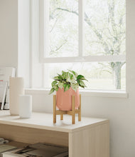 Load image into Gallery viewer, Calm Rose stand:bamboo
