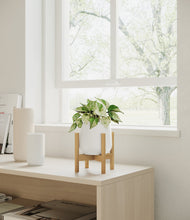 Load image into Gallery viewer, White stand:bamboo
