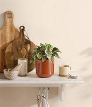 Load image into Gallery viewer, Glossy Red
