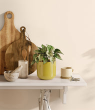 Load image into Gallery viewer, Key Lime Yellow
