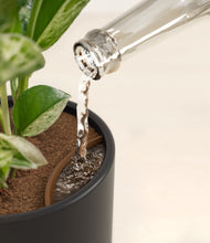 Load image into Gallery viewer, Stone Black stand:all
