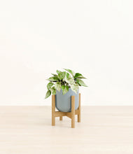Load image into Gallery viewer, Misty Blue stand:bamboo
