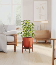 Load image into Gallery viewer, Earth Red stand:walnut
