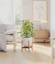 Load image into Gallery viewer, Natural Bamboo stand:bamboo
