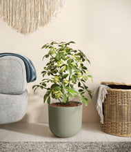 Load image into Gallery viewer, Sage Green
