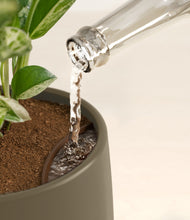 Load image into Gallery viewer, Olive stand:all
