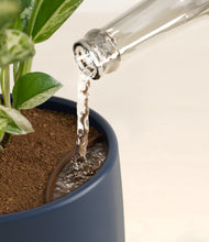 Load image into Gallery viewer, Deep Navy stand:all
