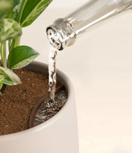 Load image into Gallery viewer, Eternal Gray stand:all
