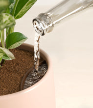 Load image into Gallery viewer, Gentle Pink stand:all
