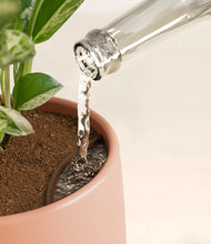 Load image into Gallery viewer, Calm Rose stand:all
