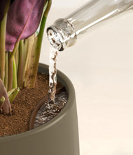 Load image into Gallery viewer, Olive stand:all
