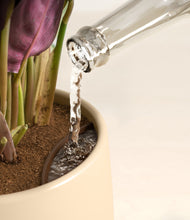 Load image into Gallery viewer, Almond Green stand:all
