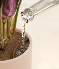 Load image into Gallery viewer, Sandy Pink stand:all
