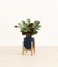 Load image into Gallery viewer, Twilight Blue stand:bamboo
