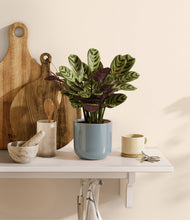 Load image into Gallery viewer, Misty Blue
