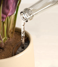 Load image into Gallery viewer, Sandy stand:all
