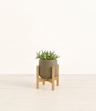 Load image into Gallery viewer, Olive stand:bamboo
