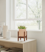 Load image into Gallery viewer, Gentle Pink stand:walnut
