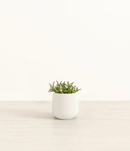 Load image into Gallery viewer, White*****Profile
