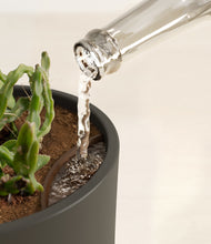 Load image into Gallery viewer, Dark Olive stand:all
